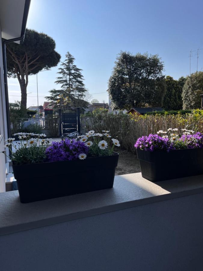 B&B A Due Passi Dal Mare Lido di Pomposa Bagian luar foto